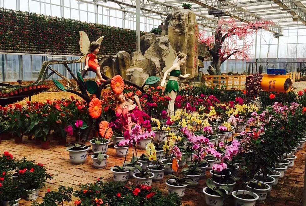 码头镇淮安国家农业科技园菜趣园