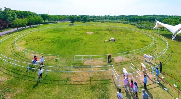 致礼建军节!千张菊花展门票献给最可爱的人！