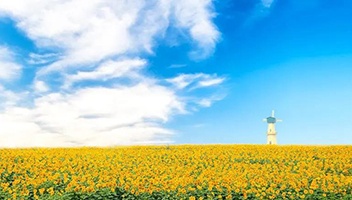 【子公司动态】白马湖国旅公司荣获江苏省三星级旅行社称号