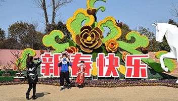 大年初二，江苏淮安白马湖旅游度假区亮点多多，游客乐翻天~