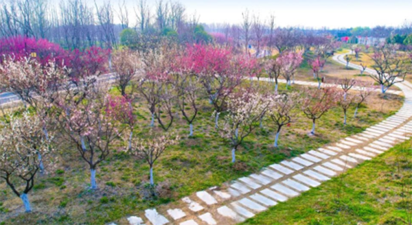 和煦三月，与春色撞个满“淮”~