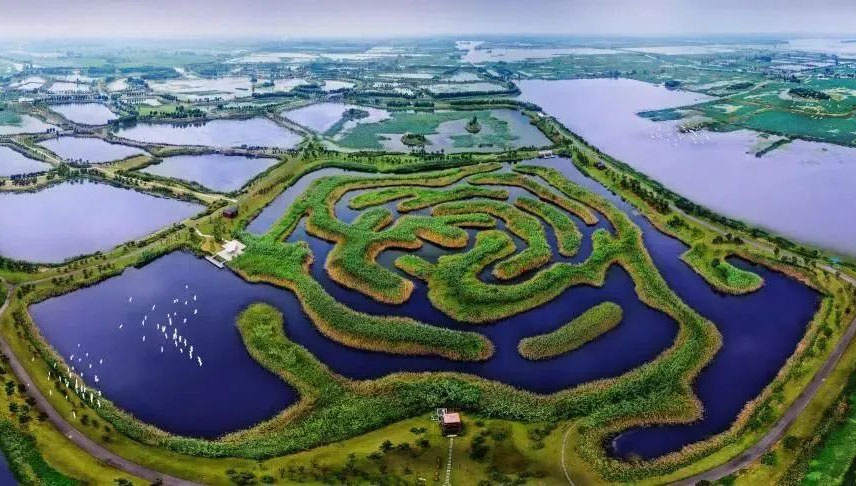 白马湖湿地被推荐列入具有国际重要意义湿地名录