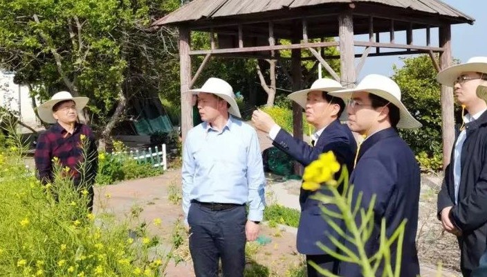 市文旅集团调研推进白马湖渔乐湾桃花岛项目