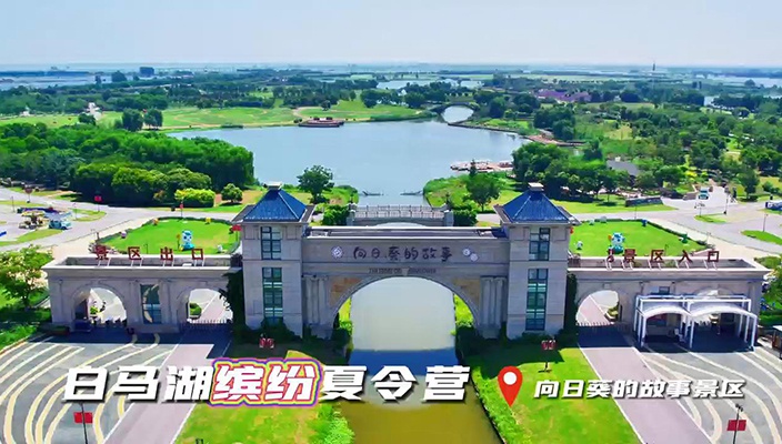 缤纷假日，乐享童趣！