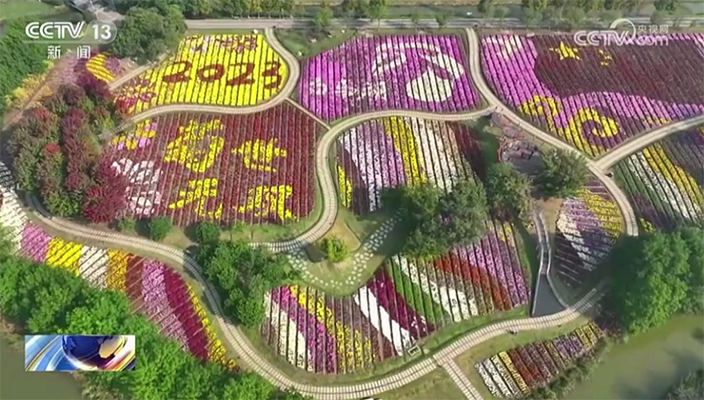 重阳佳节，淮安白马湖再登央视！