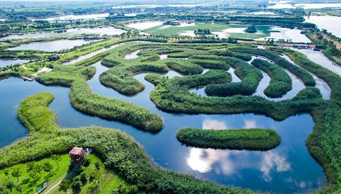 喜报 | 全省十佳案例！白马湖入选