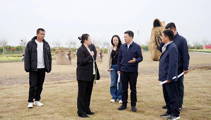 市文旅集团调研推进白马湖片区高质量发展工作