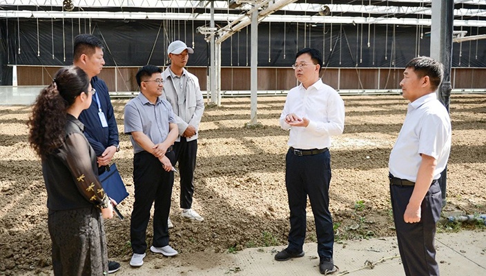 市文旅集团调研推进白马湖片区低效闲置资产盘活利用工作