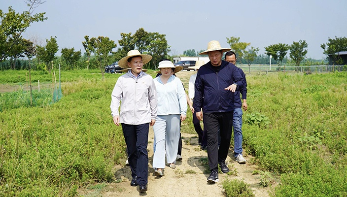 市文旅集团推进白马湖生态价值实现工作